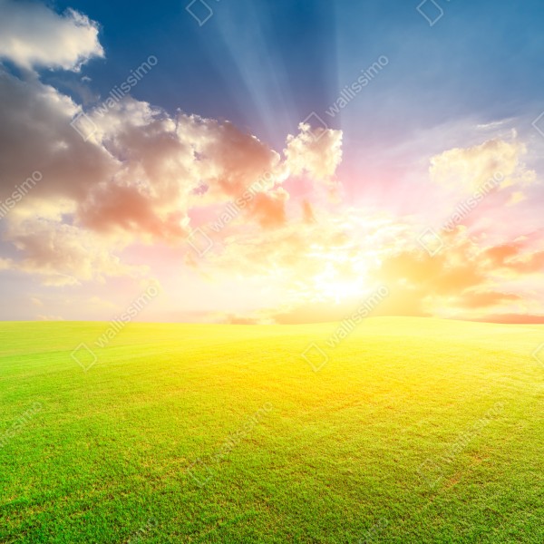 Naklejka na biurko i stół słoneczna łąka o zmierzchu – Wallissimo® Naklejka na biurko i stół słoneczna łąka o zmierzchu – Wallissimo®