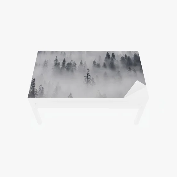 Naklejka na biurko i stół mglisty las sosnowy