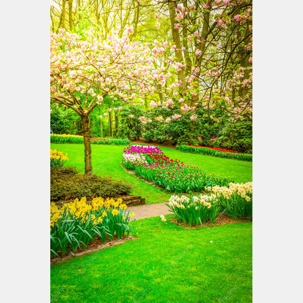 Naklejka na biurko i stół wiosenny ogród w rozkwicie: tulipany i kwiat wiśni – Wallissimo® Naklejka na biurko i stół wiosenny ogród w rozkwicie: tulipany i kwiat wiśni – Wallissimo®