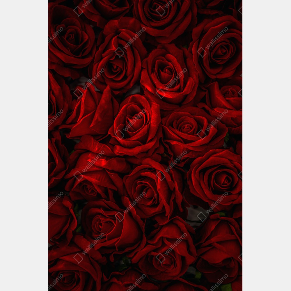 Naklejka na biurko i stół intensywne czerwone róże z bliska – Wallissimo® Naklejka na biurko i stół intensywne czerwone róże z bliska – Wallissimo®