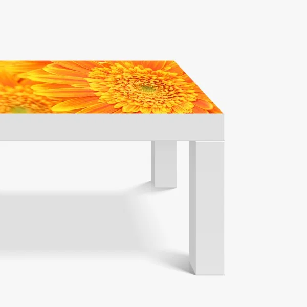 Naklejka na biurko i stół intensywna pomarańczowa gerbera z bliska – Wallissimo® Naklejka na biurko i stół intensywna pomarańczowa gerbera z bliska – Wallissimo®