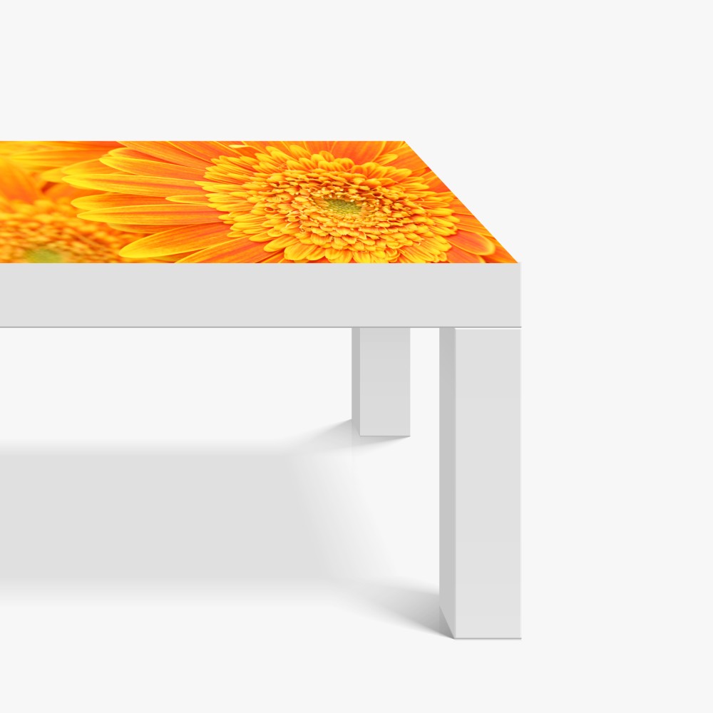 Naklejka na biurko i stół intensywna pomarańczowa gerbera z bliska – Wallissimo® Naklejka na biurko i stół intensywna pomarańczowa gerbera z bliska – Wallissimo®