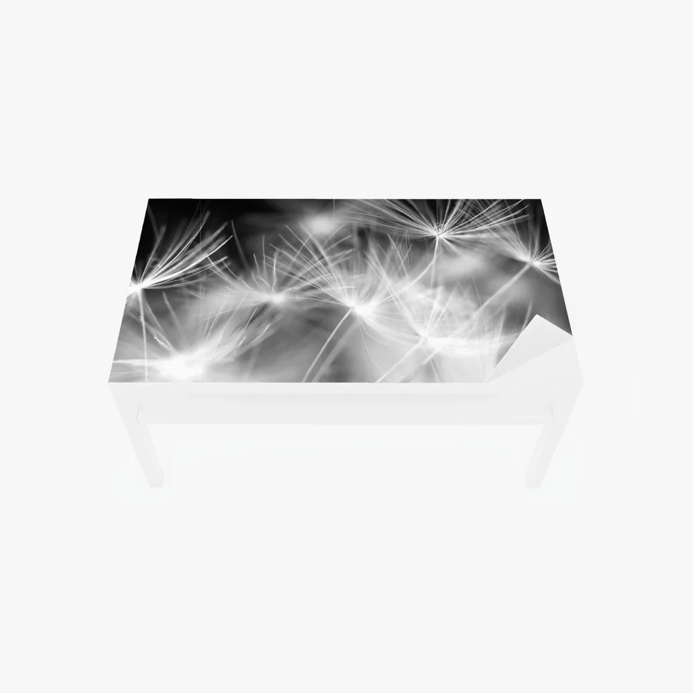 Naklejka na biurko i stół delikatne nasiona dmuchawca czarno-białe – Wallissimo® Naklejka na biurko i stół delikatne nasiona dmuchawca czarno-białe – Wallissimo®