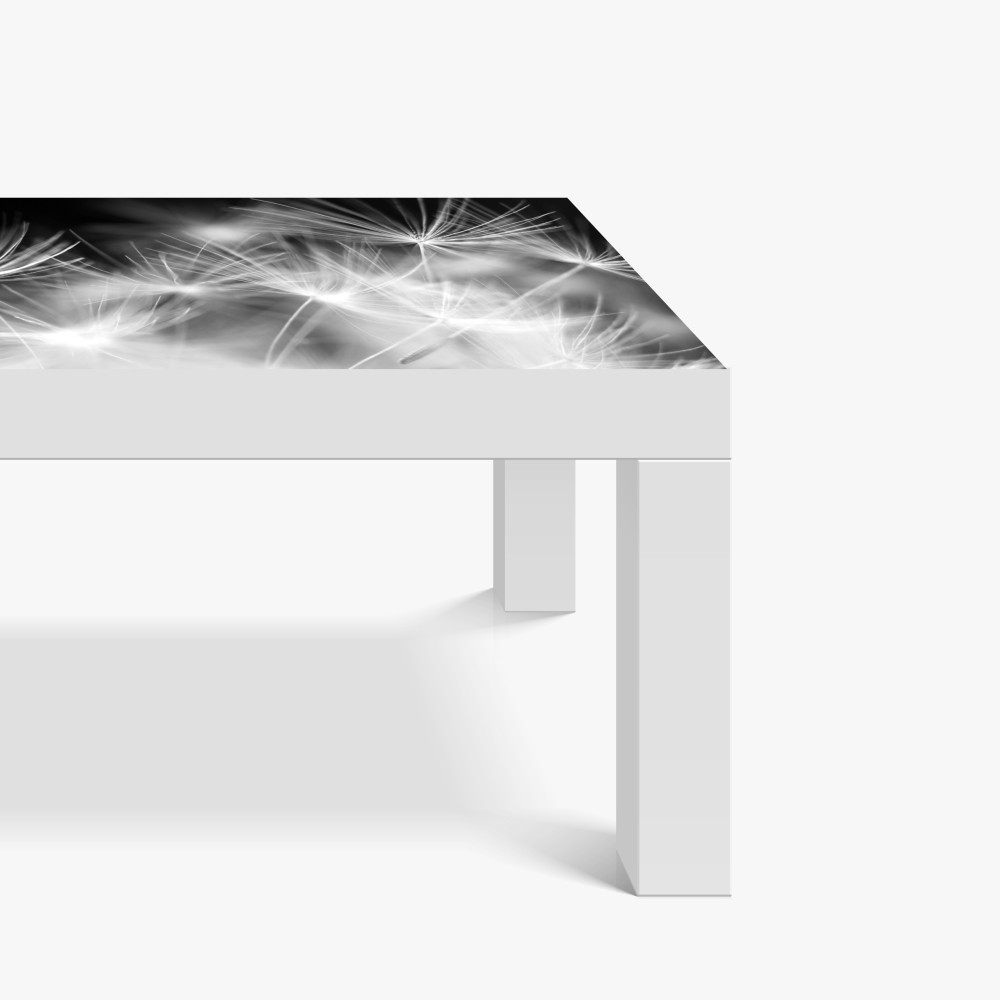 Naklejka na biurko i stół delikatne nasiona dmuchawca czarno-białe – Wallissimo® Naklejka na biurko i stół delikatne nasiona dmuchawca czarno-białe – Wallissimo®