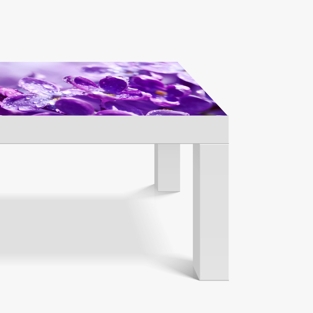 Naklejka na biurko i stół fioletowy bez z kroplami rosy – Wallissimo® Naklejka na biurko i stół fioletowy bez z kroplami rosy – Wallissimo®