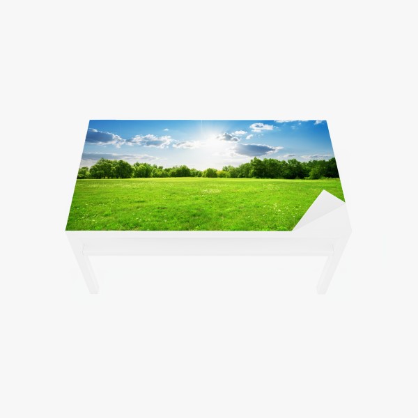 Naklejka na biurko i stół bliski portret zebr czarno-biały – Wallissimo®