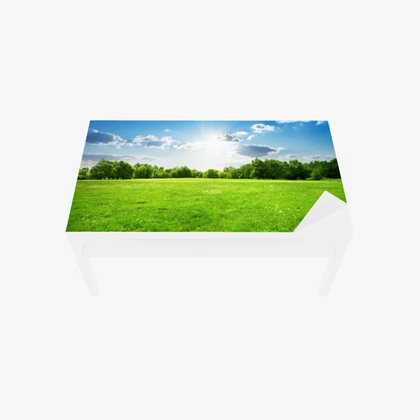 Naklejka na biurko i stół słoneczna zielona łąka