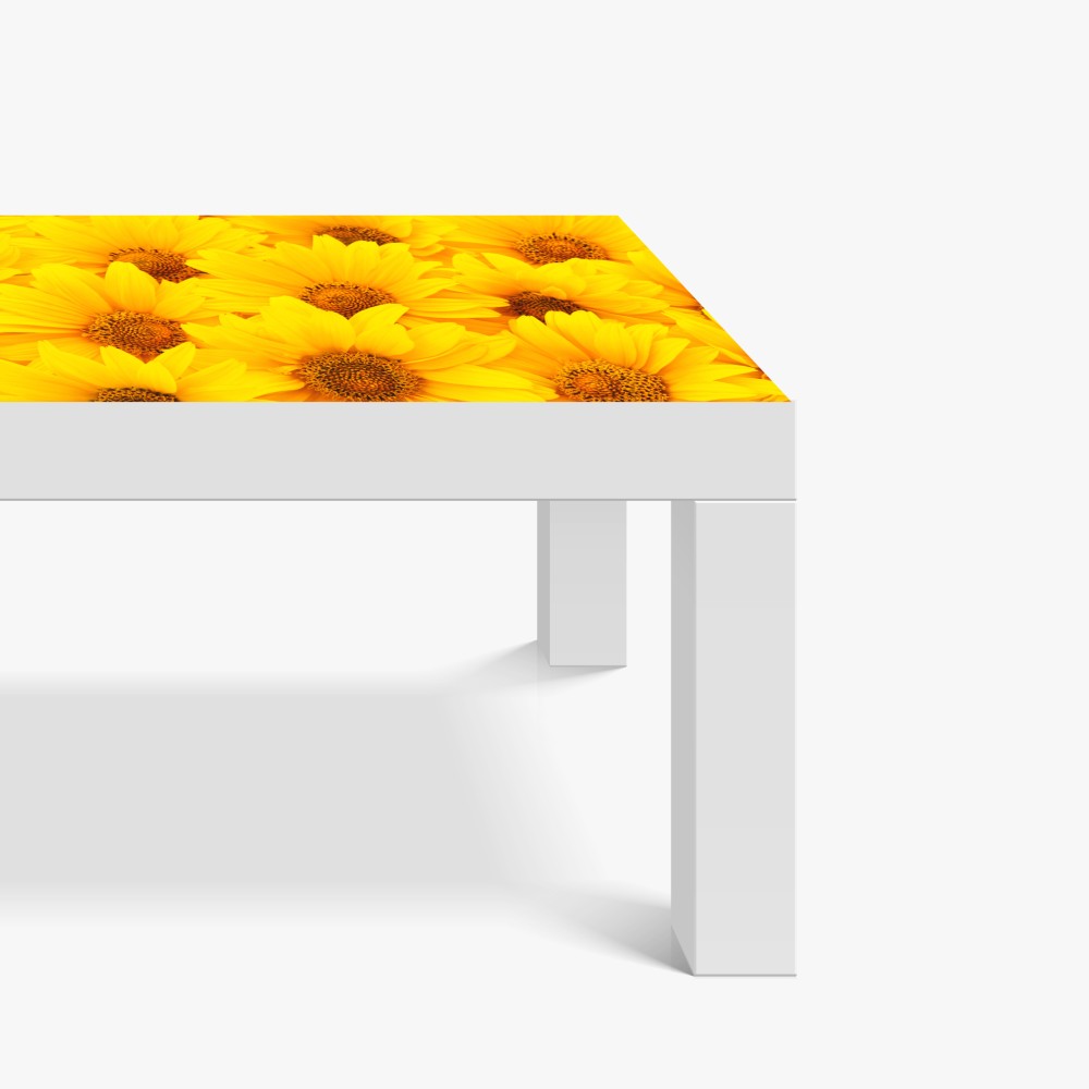 Naklejka na biurko i stół intensywne żółte słoneczniki w zbliżeniu – Wallissimo® Naklejka na biurko i stół intensywne żółte słoneczniki w zbliżeniu – Wallissimo®