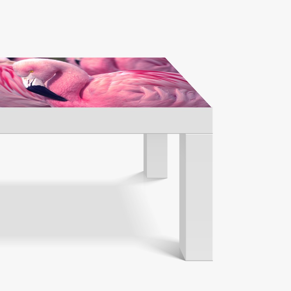 Naklejka na biurko i stół różowy flaming z bliska – Wallissimo® Naklejka na biurko i stół różowy flaming z bliska – Wallissimo®