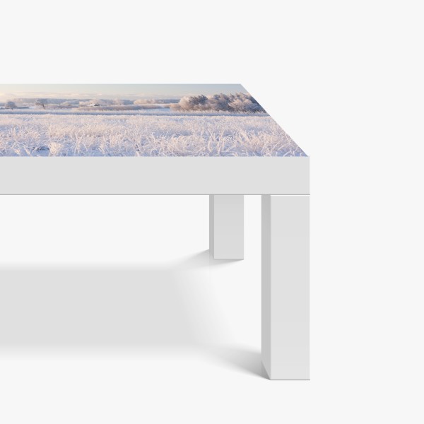 Naklejka na biurko i stół wiosenna łąka dmuchawców – Wallissimo®