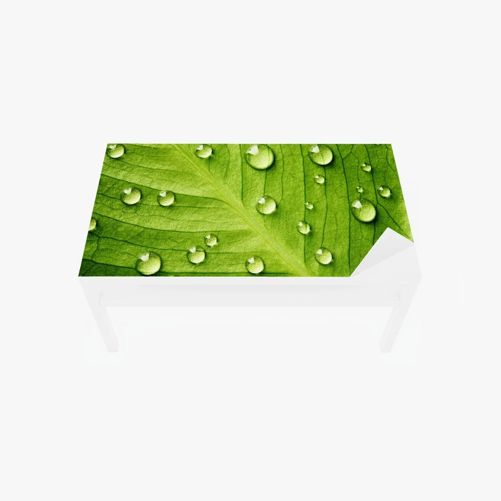 Naklejka na biurko i stół świeży zielony liść z kroplami wody – Wallissimo® Naklejka na biurko i stół świeży zielony liść z kroplami wody – Wallissimo®