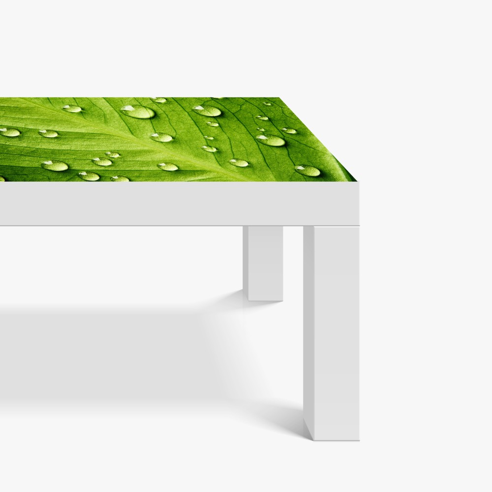 Naklejka na biurko i stół świeży zielony liść z kroplami wody – Wallissimo® Naklejka na biurko i stół świeży zielony liść z kroplami wody – Wallissimo®