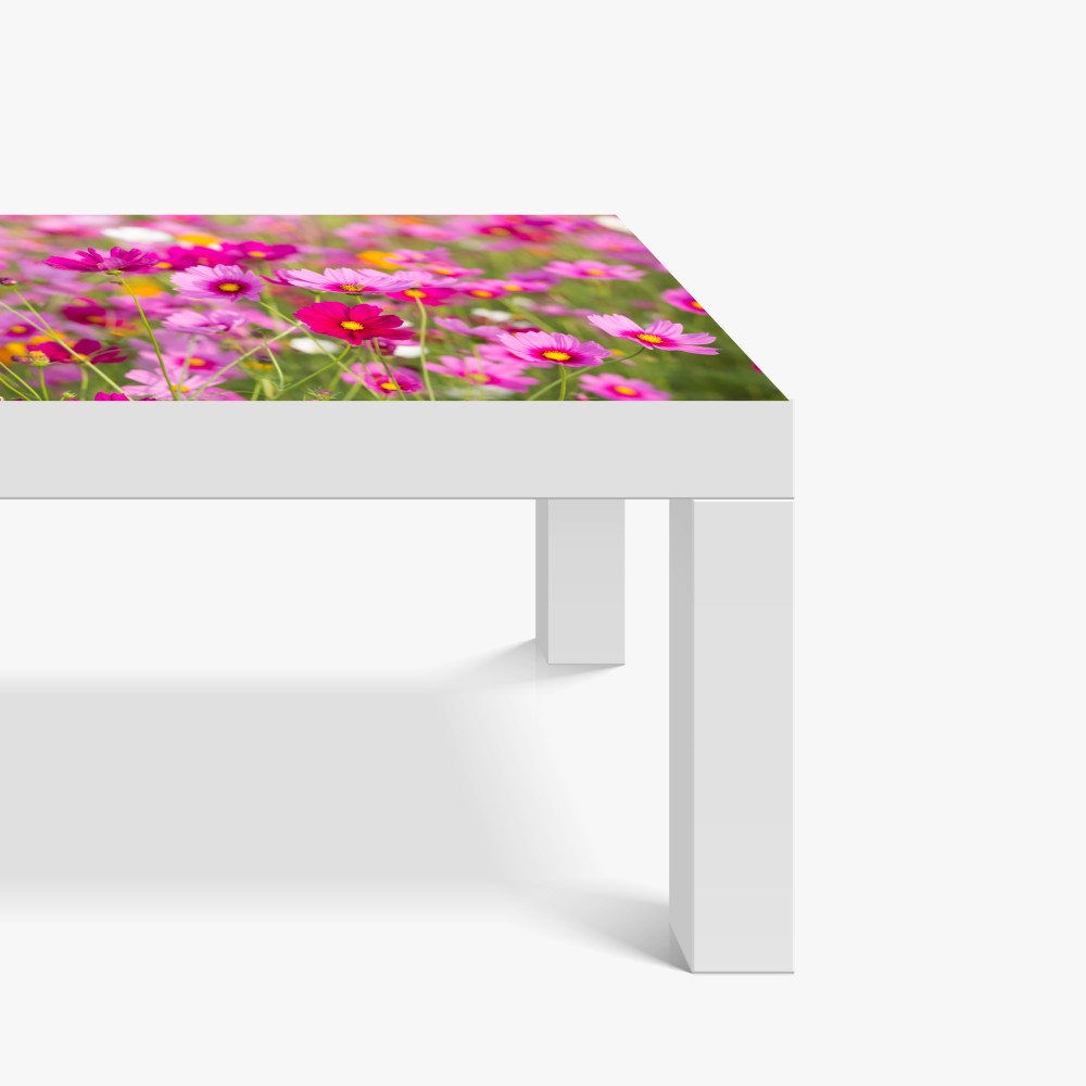 Naklejka na biurko i stół różowa łąka kosmosów w rozkwicie – Wallissimo® Naklejka na biurko i stół różowa łąka kosmosów w rozkwicie – Wallissimo®