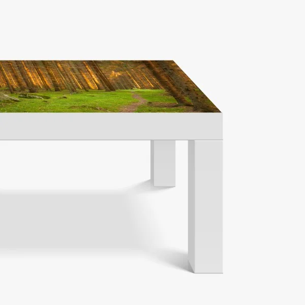 Naklejka na biurko i stół złote światło lesie sosnowym porośniętym mchem – Wallissimo® Naklejka na biurko i stół złote światło lesie sosnowym porośniętym mchem – Wallissimo®