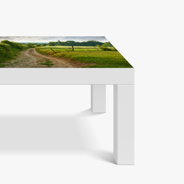 Naklejka na biurko i stół mglisty las czarno-biały – Wallissimo®