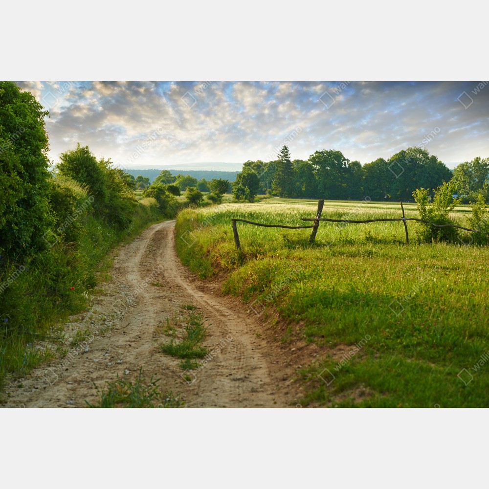 Naklejka na biurko i stół słoneczna wiejska ścieżka przez zielone łąki – Wallissimo® Naklejka na biurko i stół słoneczna wiejska ścieżka przez zielone łąki – Wallissimo®