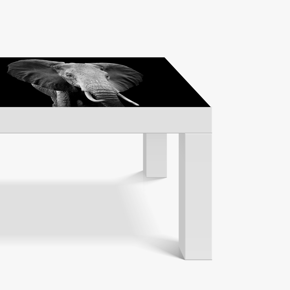 Naklejka na biurko i stół majestatyczny portret słonia czarno-biały – Wallissimo® Naklejka na biurko i stół majestatyczny portret słonia czarno-biały – Wallissimo®