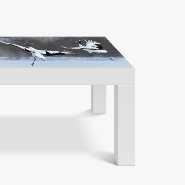 Naklejka na biurko i stół eleganckie ptaki i kwitnące gałęzie – Wallissimo®