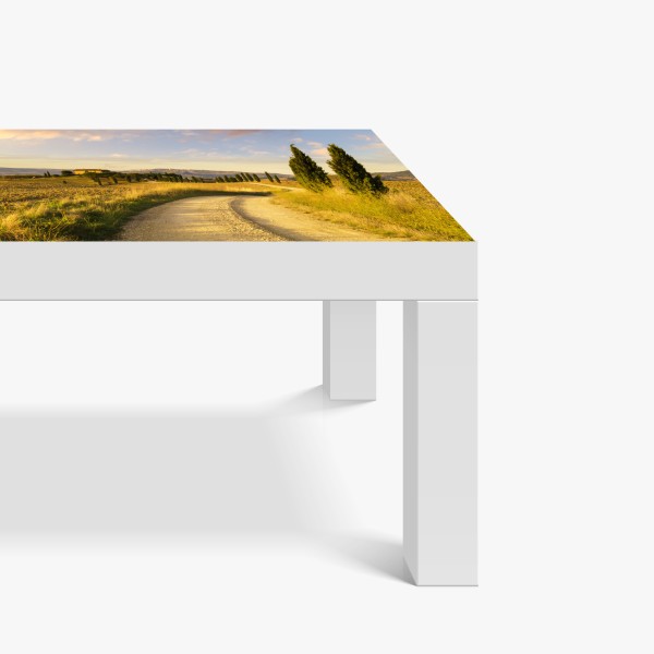 Naklejka na biurko i stół intensywna pomarańczowa gerbera z bliska – Wallissimo®