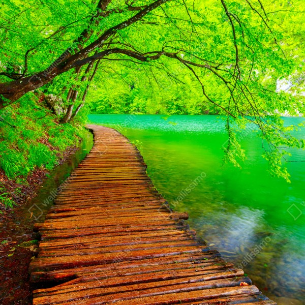 Naklejka na biurko i stół spokojny zielony pomost nad jeziorem – Wallissimo® Naklejka na biurko i stół spokojny zielony pomost nad jeziorem – Wallissimo®