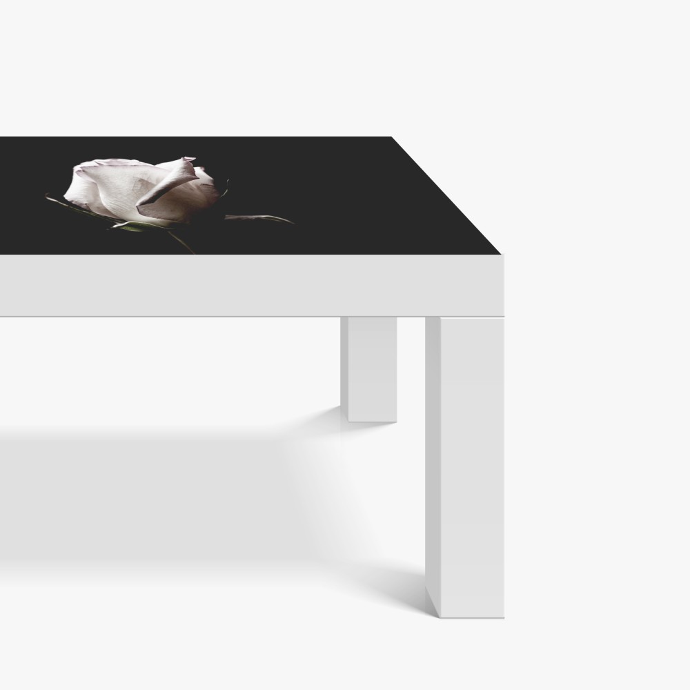 Naklejka na biurko i stół biały róż na czarnym tle – Wallissimo® Naklejka na biurko i stół biały róż na czarnym tle – Wallissimo®