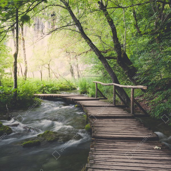 Naklejka na biurko i stół spokojna drewniana kładka w zielonym lesie – Wallissimo® Naklejka na biurko i stół spokojna drewniana kładka w zielonym lesie – Wallissimo®