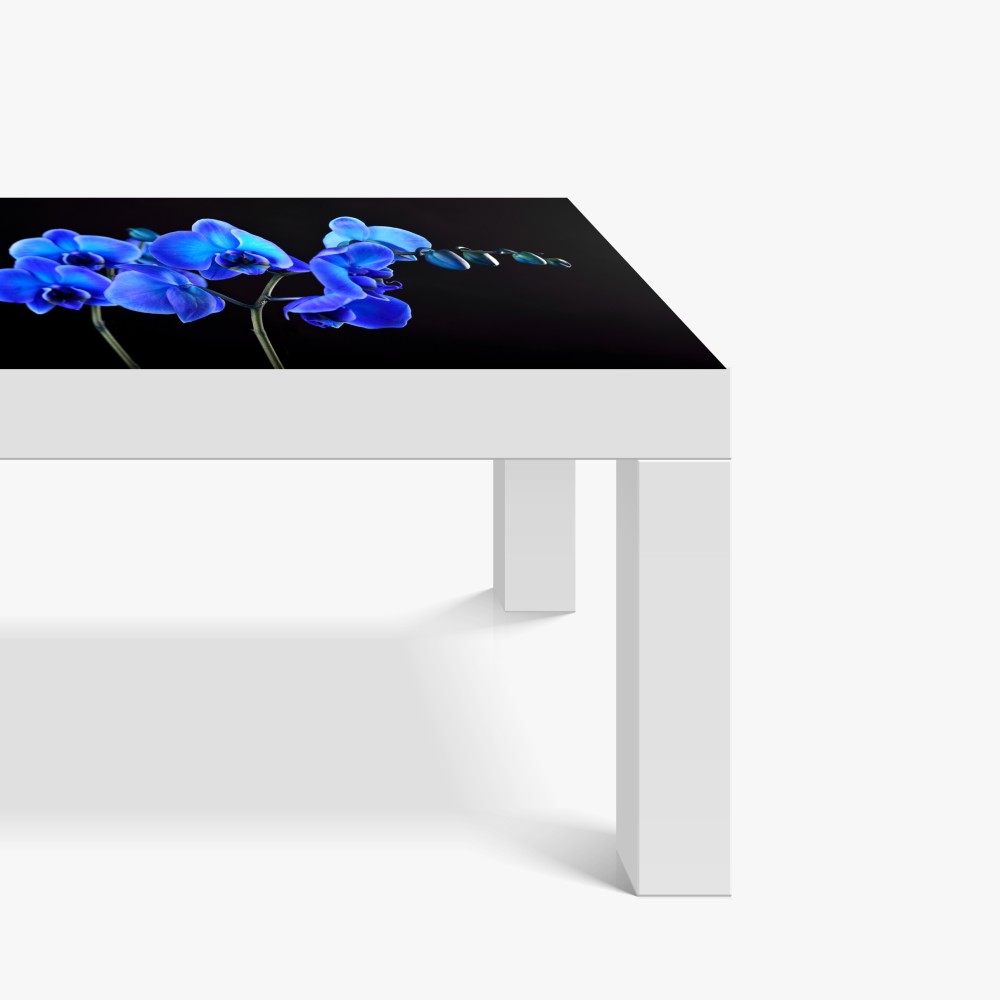 Naklejka na biurko i stół intensywna niebieska orchidea na czarnym tle – Wallissimo® Naklejka na biurko i stół intensywna niebieska orchidea na czarnym tle – Wallissimo®