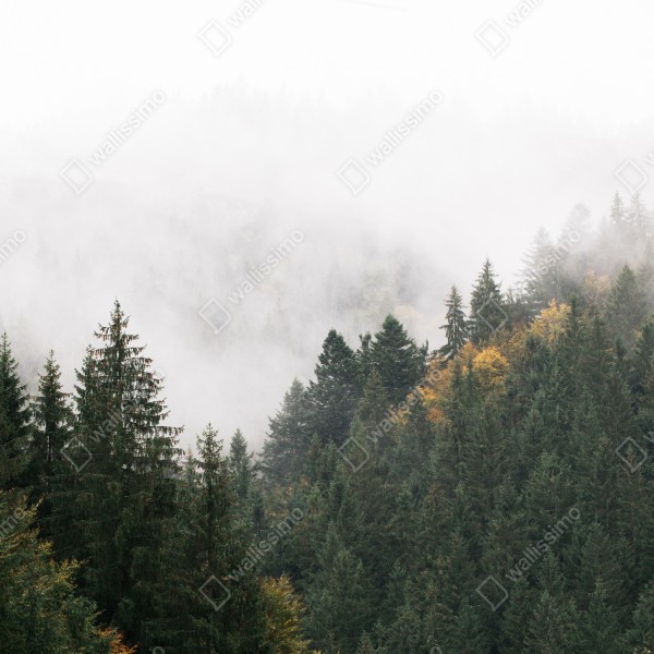 Naklejka na biurko i stół mglisty górski las – Wallissimo® Naklejka na biurko i stół mglisty górski las – Wallissimo®