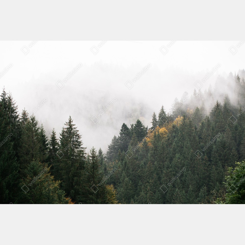 Naklejka na biurko i stół mglisty górski las – Wallissimo® Naklejka na biurko i stół mglisty górski las – Wallissimo®
