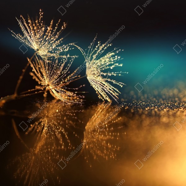 Naklejka na biurko i stół złote odbicie dmuchawca – Wallissimo® Naklejka na biurko i stół złote odbicie dmuchawca – Wallissimo®