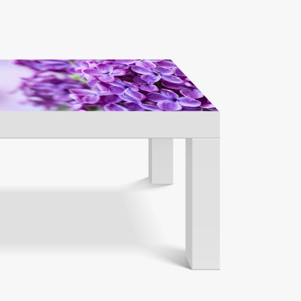 Naklejka na biurko i stół bliski portret zebr czarno-biały – Wallissimo®