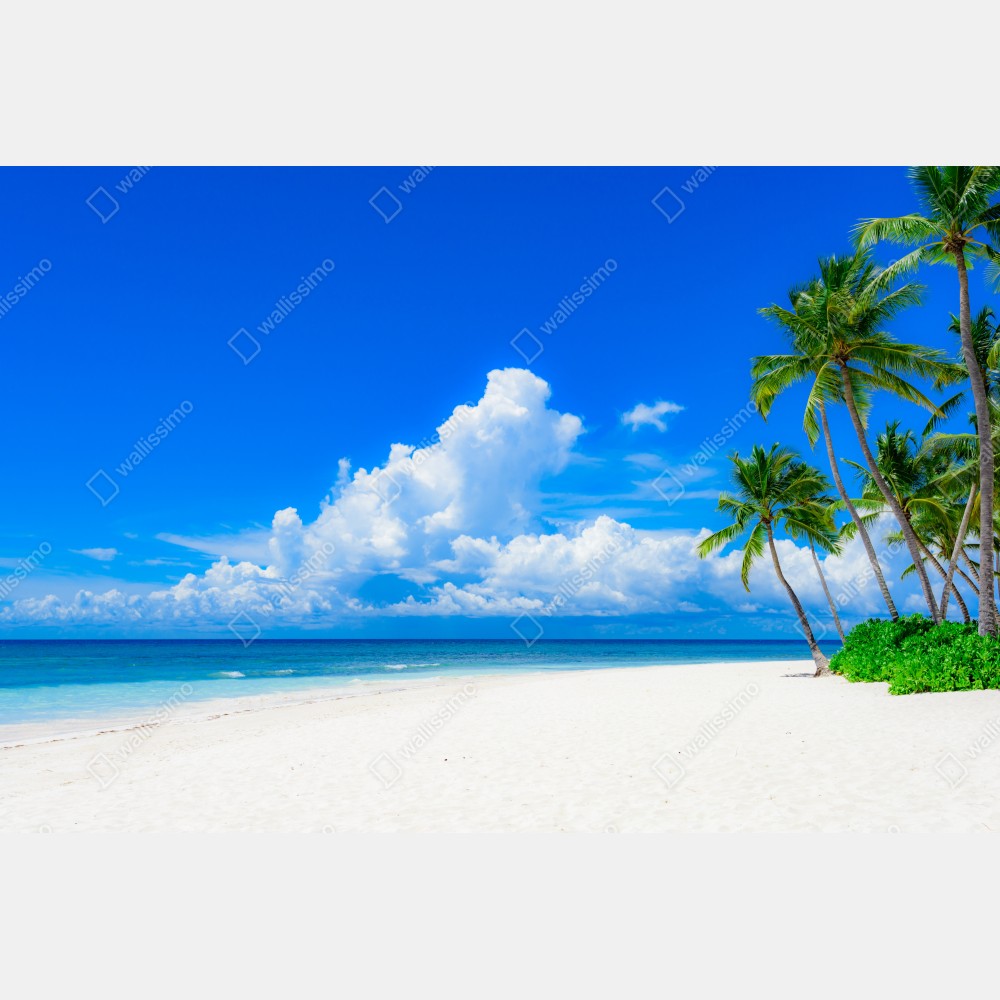 Naklejka na biurko i stół tropikalna plaża z palmami pod błękitnym niebem – Wallissimo® Naklejka na biurko i stół tropikalna plaża z palmami pod błękitnym niebem – Wallissimo®