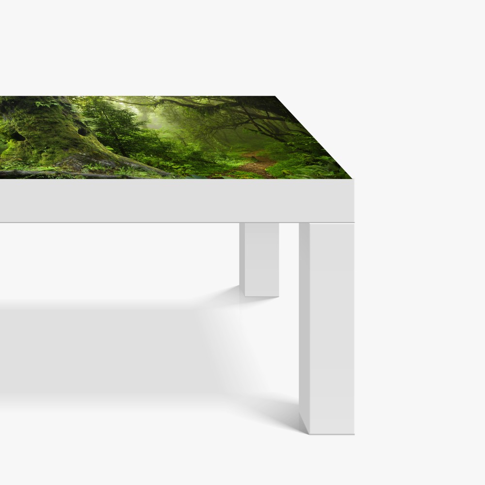 Naklejka na biurko i stół stara leśna ścieżka – Wallissimo® Naklejka na biurko i stół stara leśna ścieżka – Wallissimo®