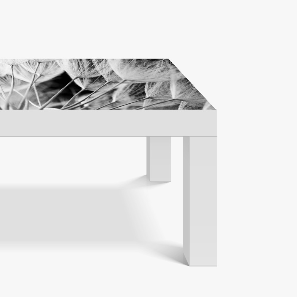 Naklejka na biurko i stół delikatne zbliżenie nasion dmuchawca czarno-białe – Wallissimo® Naklejka na biurko i stół delikatne zbliżenie nasion dmuchawca czarno-białe – Wallissimo®