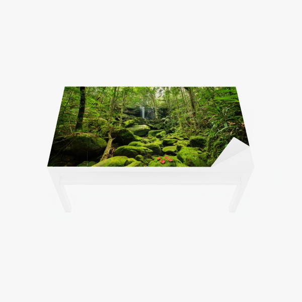 Naklejka na biurko i stół bujny mech i wodospad w tropikalnym lesie