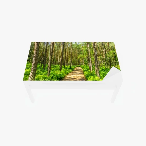 Naklejka na biurko i stół stylizowany motyw tygrysa na turkusowym tle – Wallissimo®