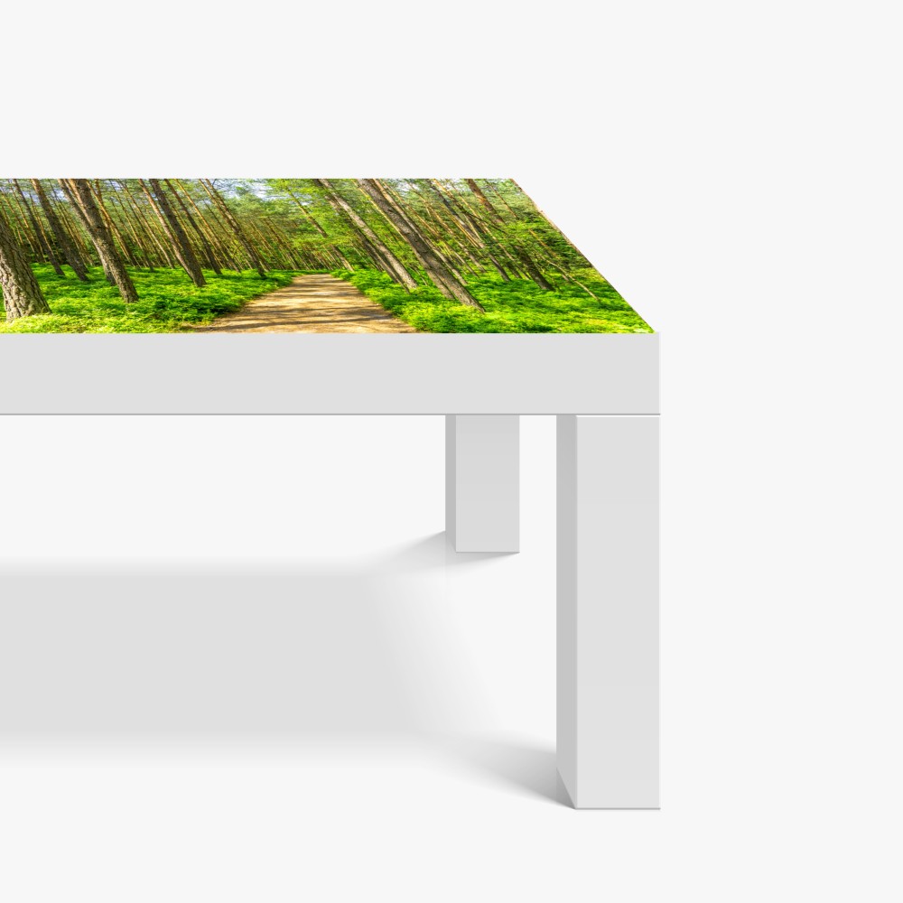 Naklejka na biurko i stół słoneczna leśna ścieżka wśród sosen – Wallissimo® Naklejka na biurko i stół słoneczna leśna ścieżka wśród sosen – Wallissimo®