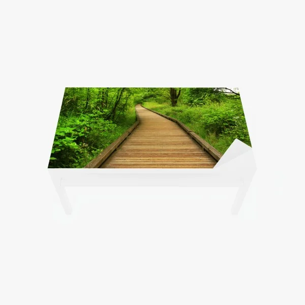 Naklejka na biurko i stół spokojny drewniany pomost w lesie