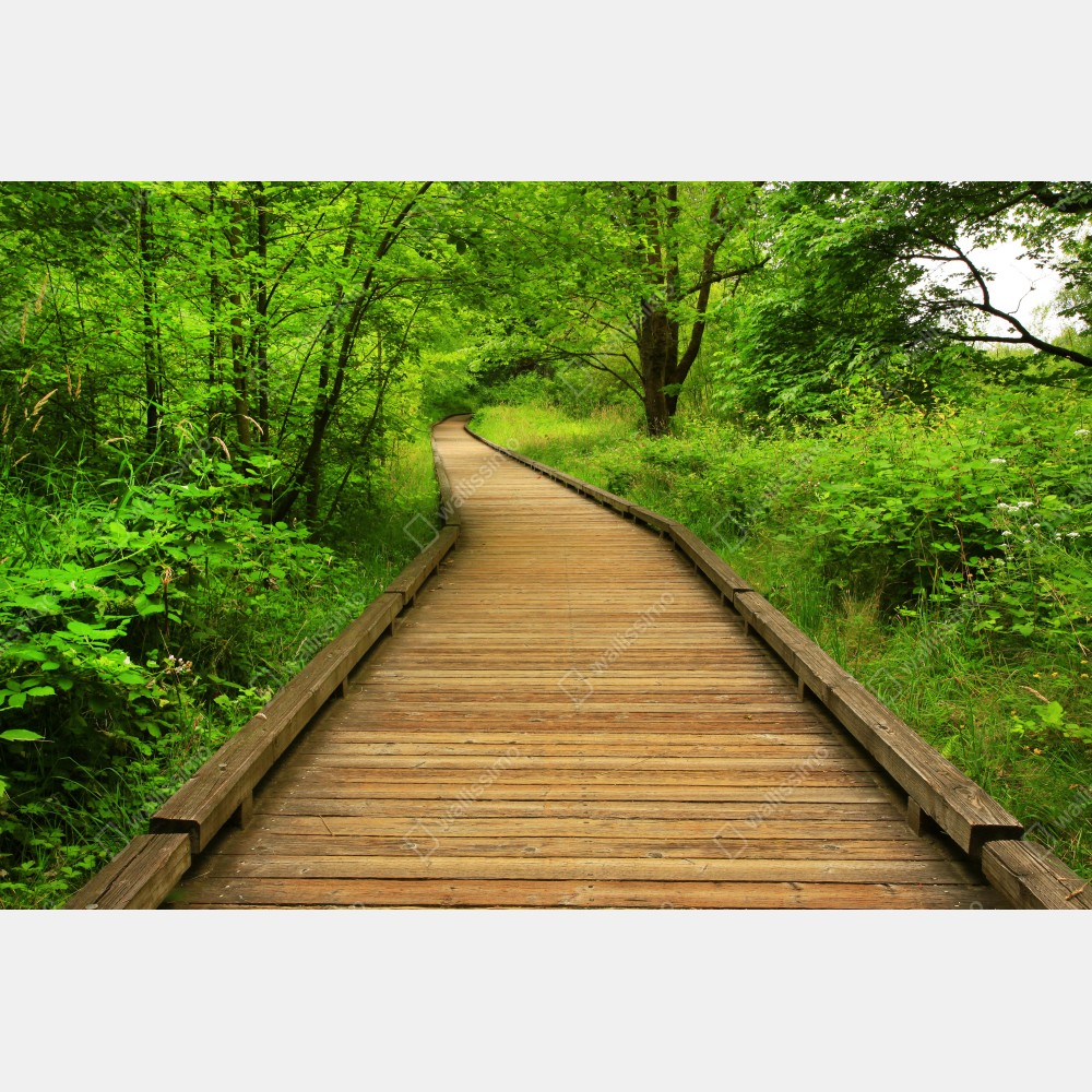 Naklejka na biurko i stół spokojny drewniany pomost w lesie – Wallissimo® Naklejka na biurko i stół spokojny drewniany pomost w lesie – Wallissimo®