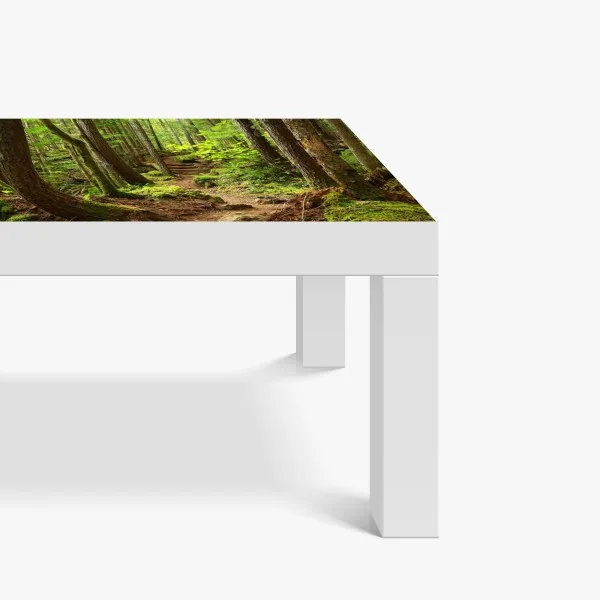 Naklejka na biurko i stół mchowa leśna ścieżka – Wallissimo® Naklejka na biurko i stół mchowa leśna ścieżka – Wallissimo®