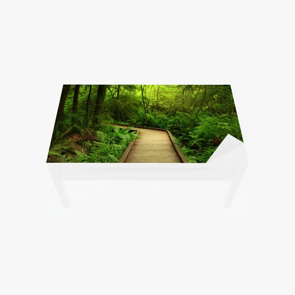 Naklejka na biurko i stół spokojna zielona kładka leśna – Wallissimo® Naklejka na biurko i stół spokojna zielona kładka leśna – Wallissimo®