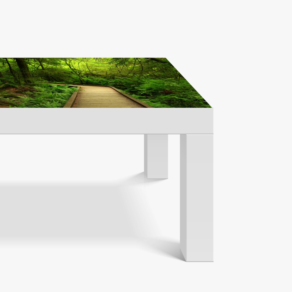 Naklejka na biurko i stół spokojna zielona kładka leśna – Wallissimo® Naklejka na biurko i stół spokojna zielona kładka leśna – Wallissimo®
