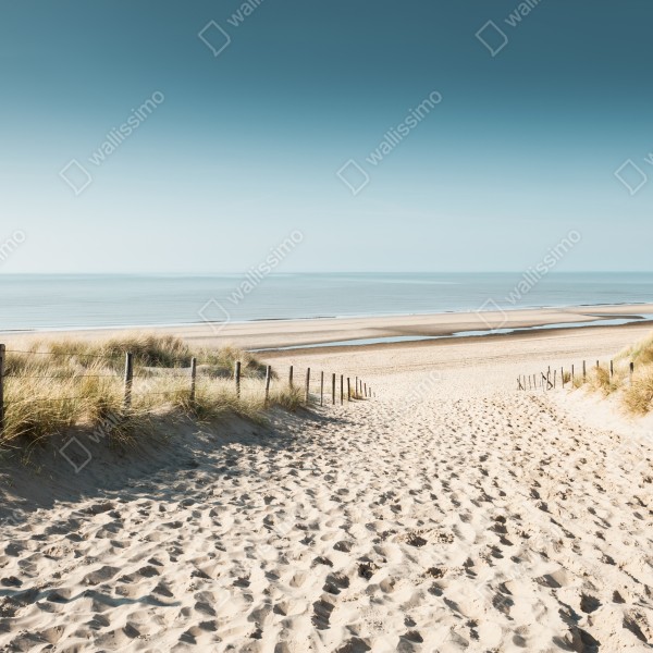 Naklejka na biurko i stół wydmy i spokojne morze przy Noordwijk – Wallissimo® Naklejka na biurko i stół wydmy i spokojne morze przy Noordwijk – Wallissimo®