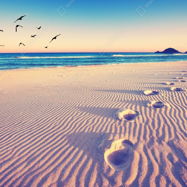 Naklejka na biurko i stół magiczne odciski na letniej plaży – Wallissimo® Naklejka na biurko i stół magiczne odciski na letniej plaży – Wallissimo®