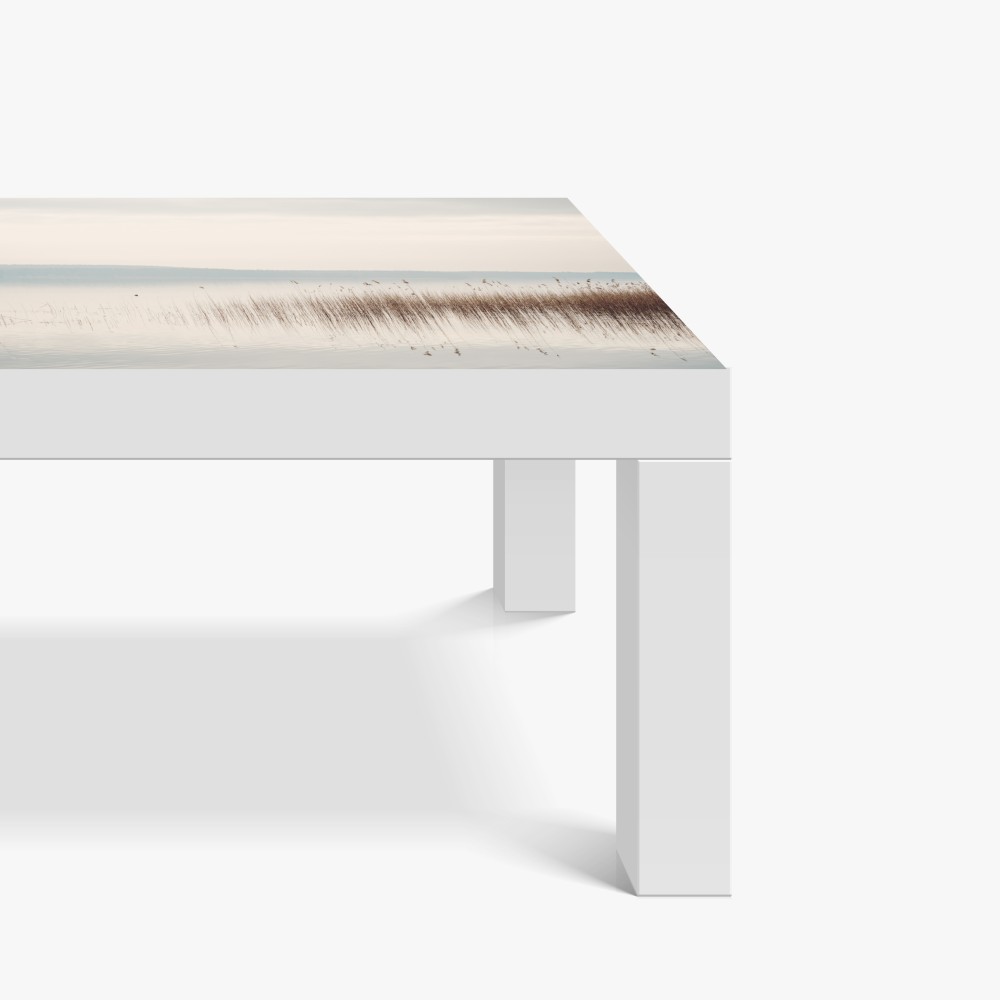 Naklejka na biurko i stół spokojne trzcinowisko nad jeziorem – Wallissimo® Naklejka na biurko i stół spokojne trzcinowisko nad jeziorem – Wallissimo®