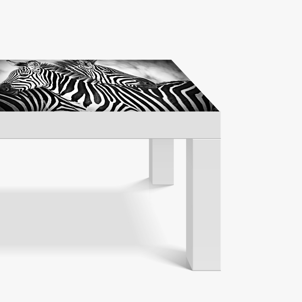 Naklejka na biurko i stół bliski portret zebr czarno-biały – Wallissimo® Naklejka na biurko i stół bliski portret zebr czarno-biały – Wallissimo®