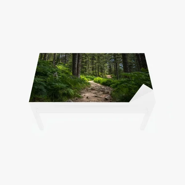 Naklejka na biurko i stół intensywny koralowy wzór kwiatowy na czarnym tle – Wallissimo®