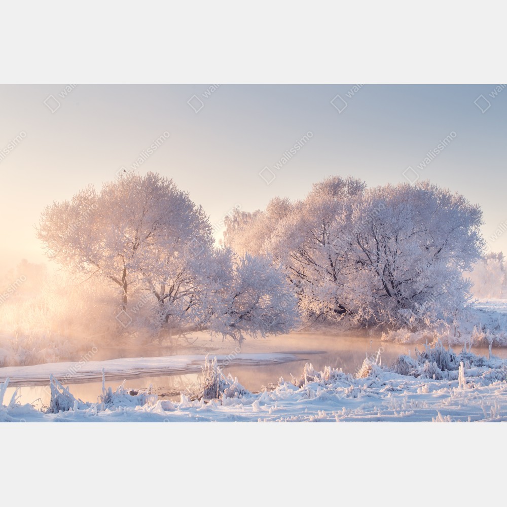 Naklejka na biurko i stół oszronione drzewa o świcie – Wallissimo® Naklejka na biurko i stół oszronione drzewa o świcie – Wallissimo®