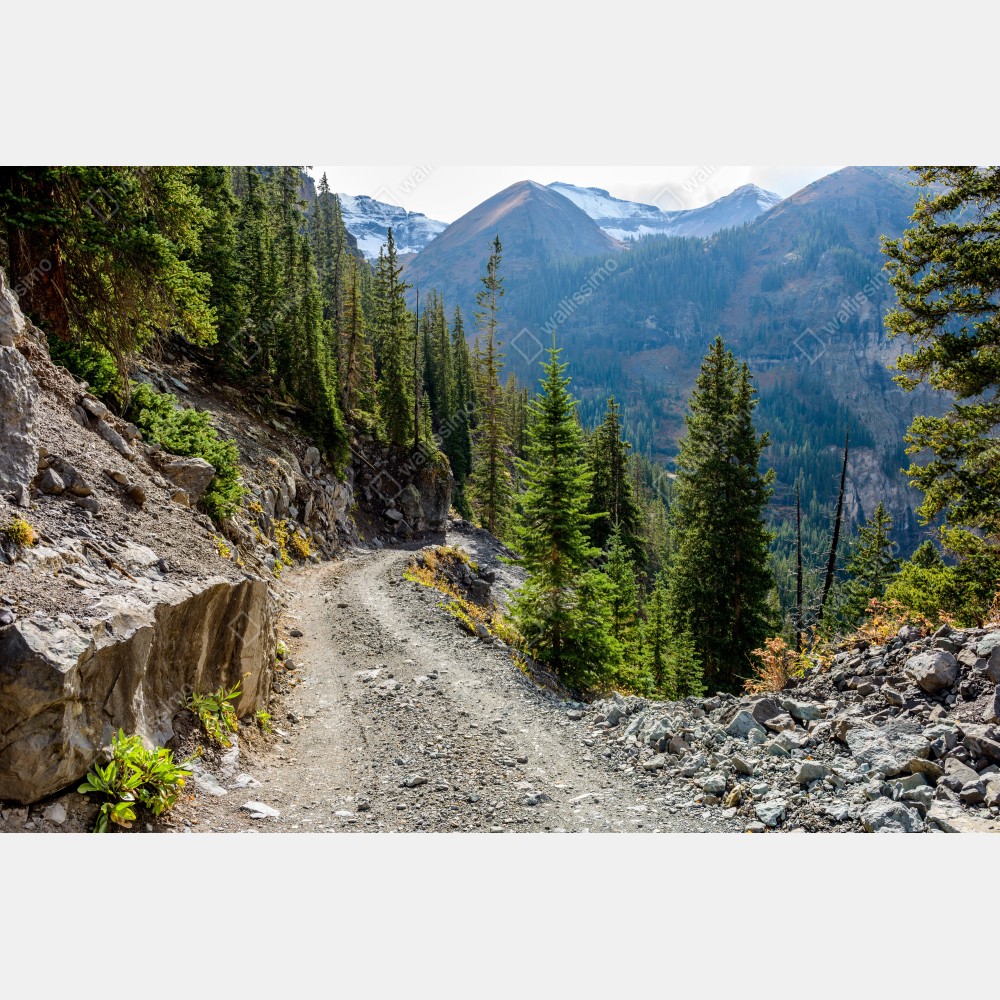 Naklejka na biurko i stół górski szlak przez alpejski las – Wallissimo® Naklejka na biurko i stół górski szlak przez alpejski las – Wallissimo®