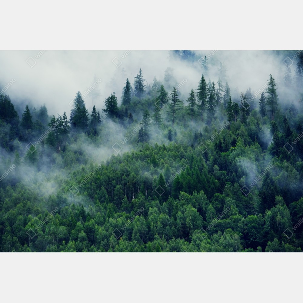 Naklejka na biurko i stół mglisty zielony las – Wallissimo® Naklejka na biurko i stół mglisty zielony las – Wallissimo®